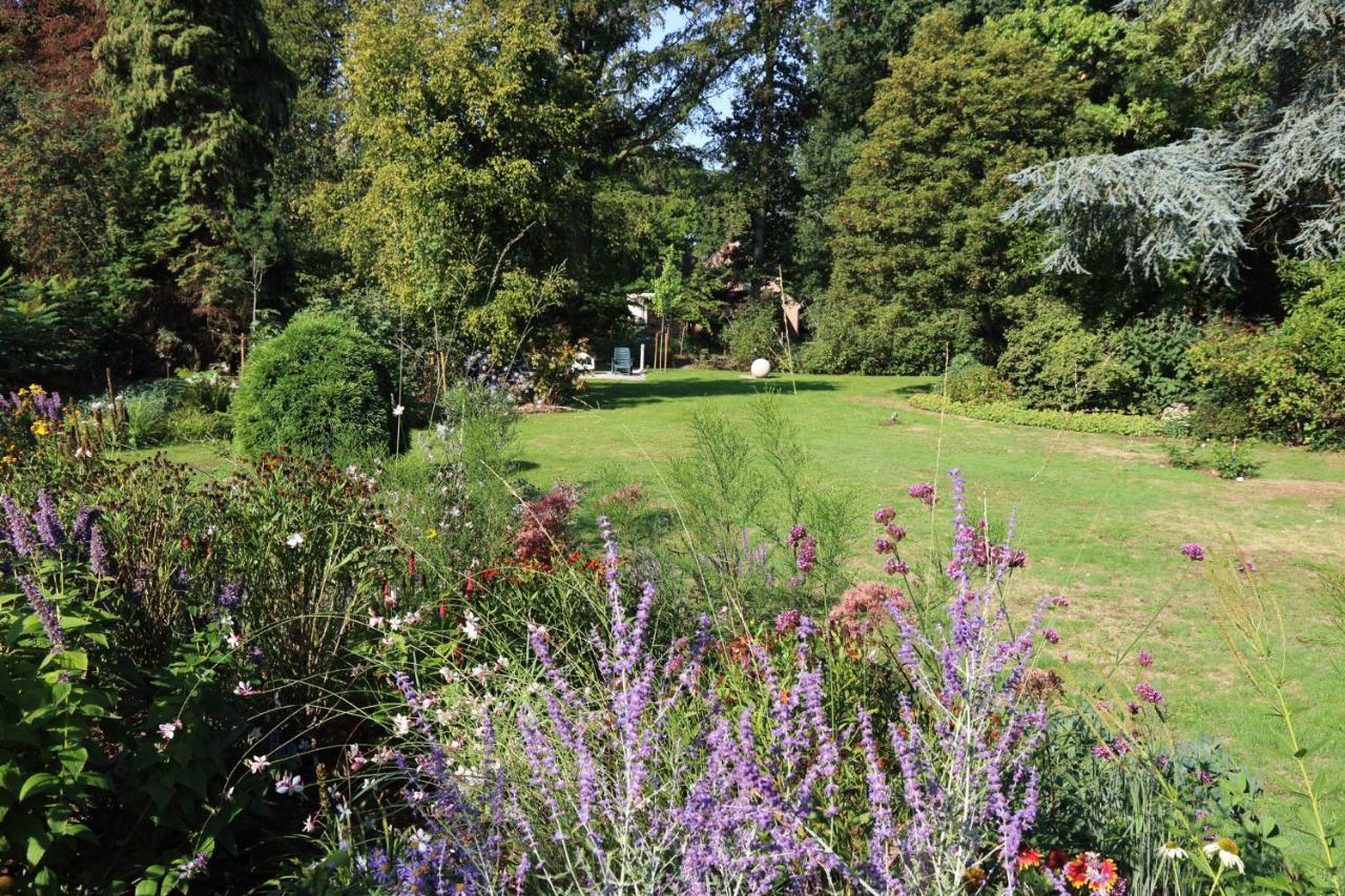 Villa Helena Linden Exteriör bild